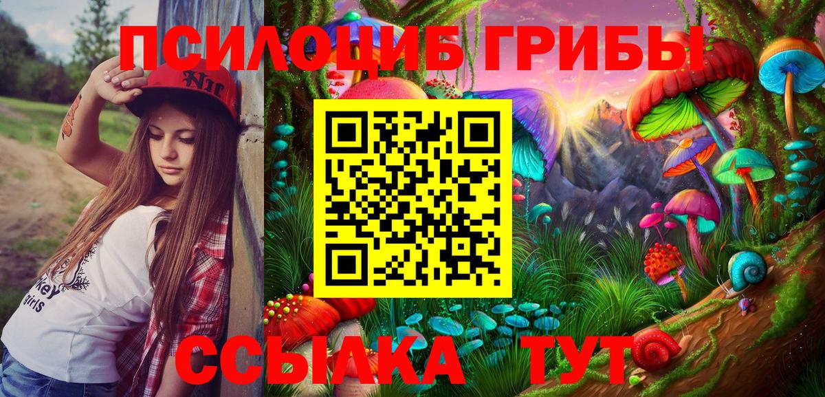 Псилоцибиновые грибы Magic Shrooms Зима